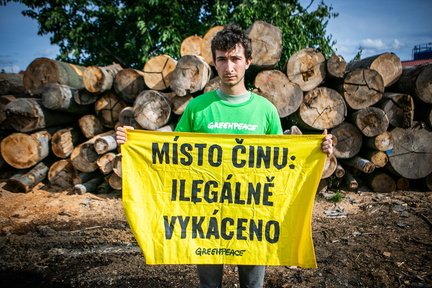 Akce Chomutov Greenpeace (15 of 17)