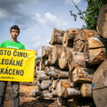 Akce Chomutov Greenpeace (16 of 17)