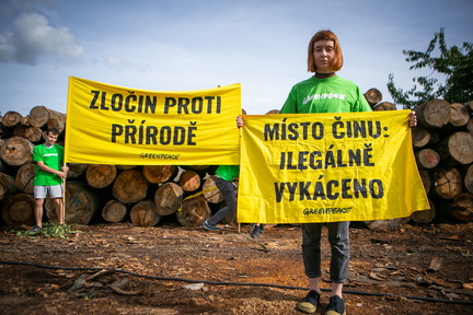 Akce Chomutov Greenpeace (1 of 17)