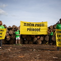 Akce Chomutov Greenpeace (2 of 17)