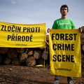 Akce Chomutov Greenpeace (3 of 17)
