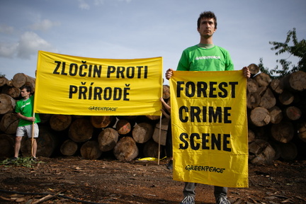 Akce Chomutov Greenpeace (3 of 17)