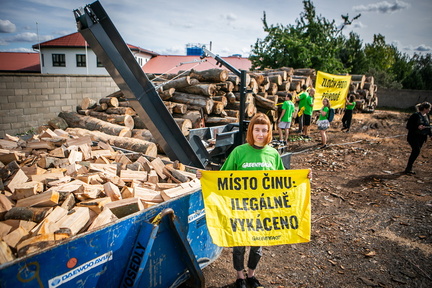 Akce Chomutov Greenpeace (6 of 17)