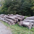 IMG 20231010 174346
