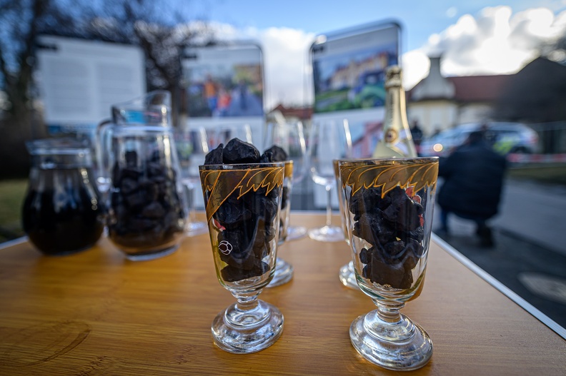 2024_02_01_FFF_turow_kramarova_vila_ZWL_2400px-1140.jpg