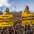 zdanickyles greenpeace-11