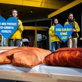 IKEA (11 of 17)