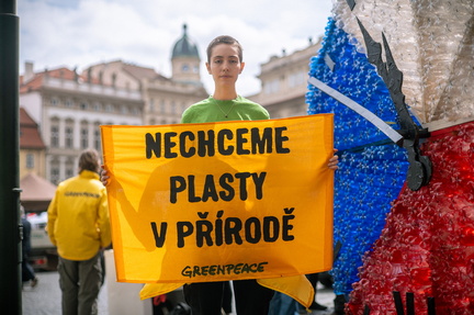 P1001066