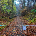 DSC 7957 IBRA NET