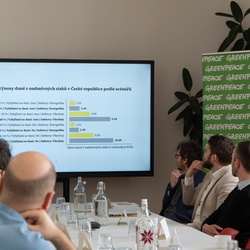 Greenpeace_studie_Zdanění nadměrných zisků znečišťovatelů: nevyužitý potenciál