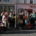 DSCF0516