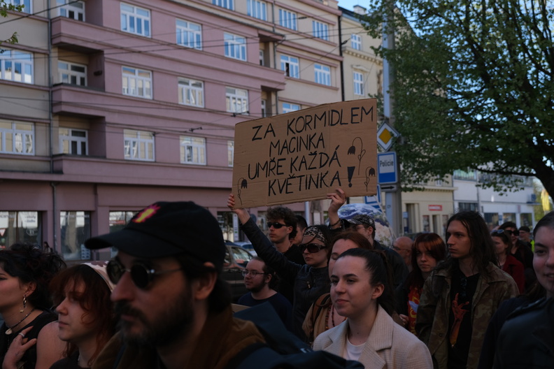 DSCF0254.JPG