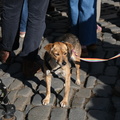 DSCF0479
