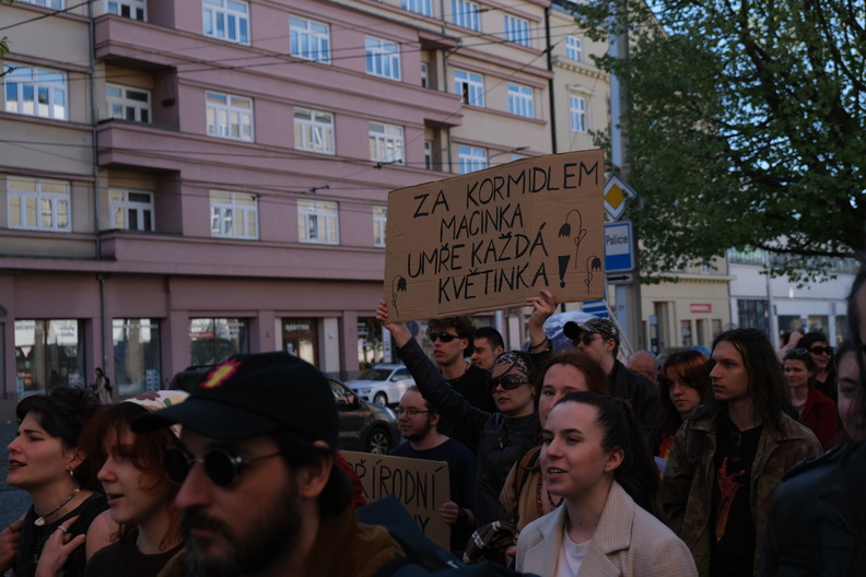 DSCF0253.JPG