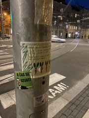 IMG 1679